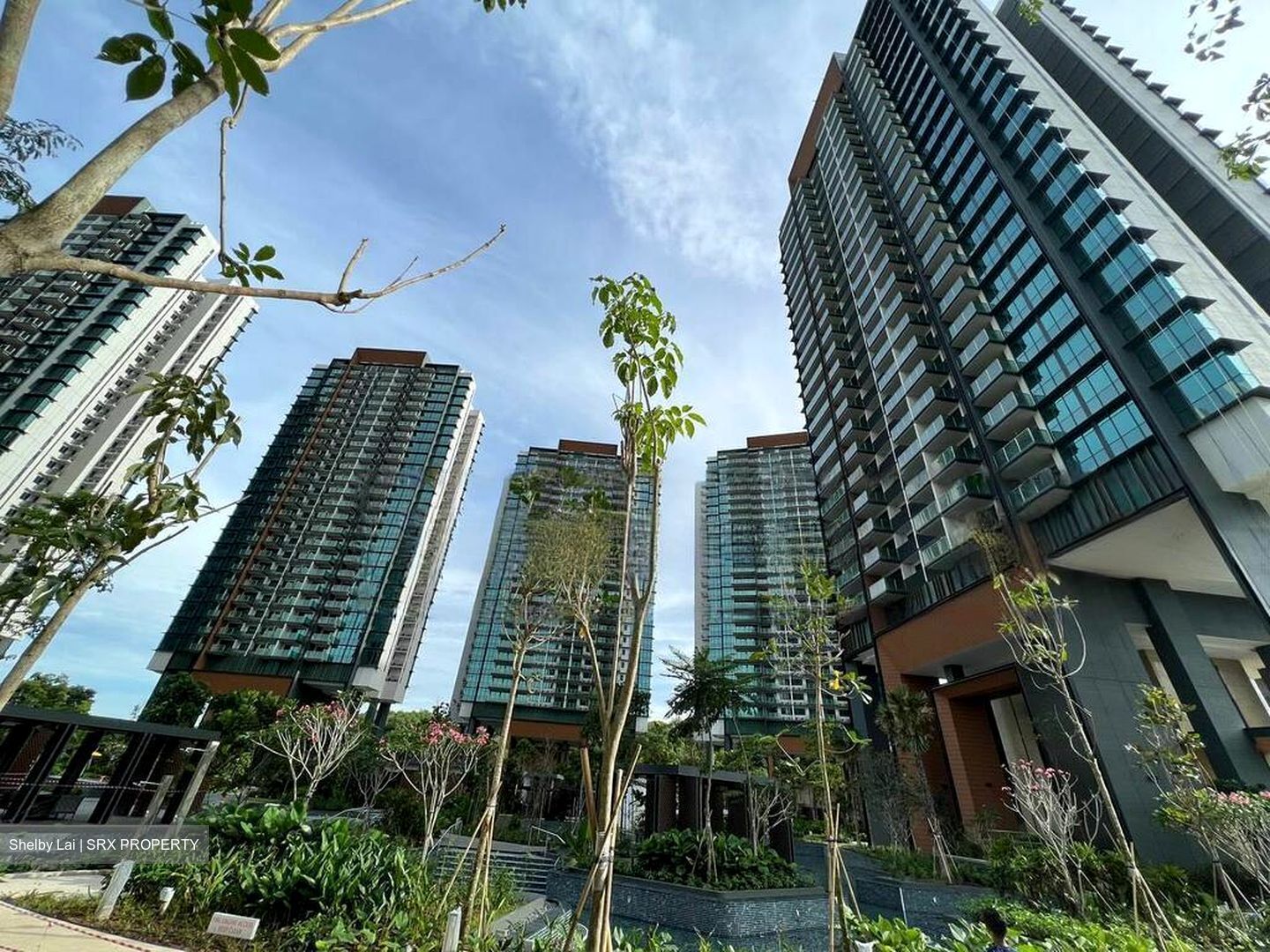 Normanton Park (D5), Apartment #485561531